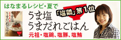 うま塩うまだれごはん