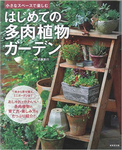 はじめての多肉植物ガーデン